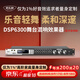 麥樂迪DSP6300卡拉ok混響器 數(shù)字音頻前級效果器 家庭影院防嘯叫調(diào)音臺處理器含話筒 調(diào)音臺均衡器 DSP6300藍(lán)牙升級版(含線) 標(biāo)準(zhǔn)版
