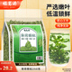 福茗源薄荷顆粒精選新鮮薄荷茶泡水喝的花草茶搭丁香桂花養(yǎng)生茶袋裝250g