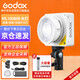 神牛（Godox）ML100Bi攝影燈雙色溫可調便攜夜拍燈人像補光燈戶外控制室電影視頻攝像燈  ML100Bi【官方標配】