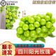 南步陽(yáng)光玫瑰葡萄【順豐】晴王青提葡萄無(wú)籽葡萄香印青提子新鮮水果 凈重4.5斤 | 一級(jí)果果粒10g左右