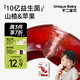 不二寶貝山楂蘋(píng)果干水果條棒棒糖120g搭嬰兒幼兒童無(wú)添加無(wú)糖寶寶零食