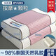 浪莎（LangSha）乳膠枕頭護頸枕頸椎病深度睡眠專(zhuān)用枕芯枕頭男士專(zhuān)用成人一對枕套 冰粉-顆粒枕【高彈柔軟 】 一對裝