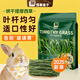 怪獸盒子25年提摩西草烘干草段兔子干草多葉飼料龍貓幼兔荷蘭豬糧食用干草 烘干切段提摩西草500g