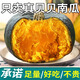 躬耕坊香甜軟糯板栗味嬰兒輔食正宗貝貝南瓜 精選凈重5斤裝