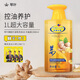 琴葉（Q&Y）側(cè)柏葉姜粒洗發(fā)水1000ml 升級(jí)GH101 強(qiáng)根保養(yǎng)韌發(fā)控油清爽