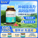 KVV進(jìn)口堿鈣天然海藻鈣男女性?xún)?yōu)堿貝兒高堿片備孕藍孕優(yōu)小藍瓶寶 1盒體驗裝【推薦買(mǎi)3送2 5瓶套餐】