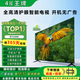 4K 王牌【家電補(bǔ)貼30%】新款液晶55英寸電視機(jī)大屏客廳臥室電視高清護(hù)眼防藍(lán)光家用智能語音窄邊超薄投屏 45LED高清護(hù)眼電視版【61cmX36cm】
