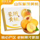 春福樂 山東蒙陰黃桃【源頭直采】當(dāng)季新鮮孕婦水果禮盒時(shí)令整箱 5斤丨特選單果100g+凈重4.5
