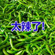正宗農家辣椒新鮮土辣椒青椒自種特辣爆辣現摘現發(fā)薄皮辣味十足 農家種植-現摘現發(fā)【極速發(fā)貨】 0.5斤【每天早晨現摘】精選品質(zhì)