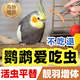鸚鵡博士鸚鵡吃的食物糧食蟲子面包干什么飼料喜歡食麻瓜虎皮小米牡丹太陽 【面包蟲干】體驗裝/365ml