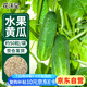 花沃里 水果黃瓜種子 蔬菜種子爬藤小黃瓜陽(yáng)臺盆栽/庭院田間種植約50粒
