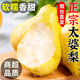 煙臺太婆梨山東梨子啤梨香蕉梨大頭梨茄梨軟梨新鮮水果生鮮產(chǎn)地 3斤 大果(單果150-200g左右）