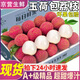四叔公果蔬雙肩玉荷包荔枝廣東【JD/順豐-閃送】比桂味糯米糍晚新鮮水果禮盒 【金標】稀缺貢品果（單果25g+） 【超值推薦】5斤爽吃裝 凈4斤