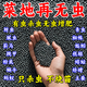 蔬菜專用清菌顆粒驅(qū)蟲除害蟲防蟲防病害辣椒瓜果蔬菜花卉肥料 1桶【450g】