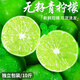 甘福園【酸爽多汁】云南無(wú)籽青檸檬凈重9斤小青檸皮薄手打檸檬新鮮水果 云南香水檸檬【凈重2斤】 單果80-100g