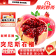閩域?qū)r突尼斯軟籽石榴現(xiàn)摘紅心紅寶石石榴新鮮水果水果香甜四川美味石榴 5斤【單果200g+】凈重4.5斤 【果子表面有花斑屬于正常現(xiàn)象】