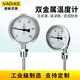 維迪亞斯（Vadias）雙金屬溫度計帶遠傳耐震防腐不銹鋼鍋爐管道高溫工業(yè)溫度表 其它溫度 徑向L=100MM 304材質(zhì)