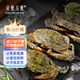 【冷凍】應(yīng)魷盡魷梭子蟹凈重3斤公蟹4-6兩/只  可清蒸 25年新蟹整只螃蟹海鮮水產(chǎn)