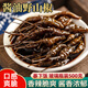 特產(chǎn)醬油野山椒小米辣椒泡椒小米辣朝天椒小米椒鳳爪調料500ge 醬泡野山椒【2瓶】