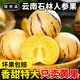 啃鮮森 云南石林人參果 【產(chǎn)地直發(fā)】當季現摘  生鮮水果 云南人參果 3斤 單果50g+