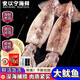耀合莊還補(bǔ)大魷魚鮮活冷凍新鮮魷魚整只魷魚須章魚足火鍋燒烤食材 精選海捕大魷魚 5斤(凈重)  數(shù)量5-6條