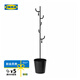 宜家（IKEA）ALGANAS艾佳奈斯衣帽架鞋架臥室落地立式掛衣架衣服架 黑色衣帽架