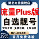 中國電信【在線選號】電信純流量卡手機卡電信卡全國通用流量包電話卡29元80G流量 【星卡】大流量Plus版