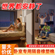富格仕隔音門貼自粘隔音板隔音棉墻體毛氈房門密封隔音門裝飾吸音門簾 白色【2CM厚度】4片起送嗝音禮包