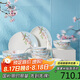 瑪戈隆特 骨瓷餐具套組 碗碟套裝骨瓷碗盤(pán)餐具禮盒包裝20頭4人份雨花軒