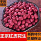 紅皮花生 新貨農(nóng)家四粒生花生新鮮無殼小粒紅衣花生仁去殼花生 精選 10 斤（500 克 x1 0 袋）