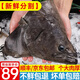 ?；蕿掣窳晏m進(jìn)口深海冰鮮冷凍鰈魚(yú)身鴉片魚(yú)頭超大比目魚(yú)魚(yú)類(lèi)生鮮批發(fā) 半斤鰈魚(yú)頭 1kg （4只裝）