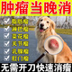 狗狗脂肪瘤腫瘤快消藥貓狗身上長(cháng)疙瘩鼓包硬塊乳腺瘤專(zhuān)用消除膏 免手術(shù)當天消】買(mǎi)二送一