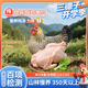 三德子好甄選壯年老母雞 凈重1.8-2.4斤 山地散養(yǎng)350天走地雞肉生鮮月子雞湯