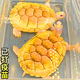 正宗金龜招財金錢(qián)大龜觀(guān)賞黃金龜寵物小烏龜活物大烏龜深水吃菜龜 6—8cm  白化金龜 情侶一對