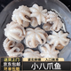 新鮮八爪魚鮮活冷凍小章魚迷你短腿八抓魚大爆頭去內(nèi)臟撈汁小海鮮 八爪魚  1斤【約10個左右】