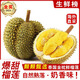 姝媛進(jìn)口泰國金枕榴蓮【多地次日達】新鮮金枕頭巴掌現摘孕婦水果送禮 凈重3-4斤精選A+果【3-4房】
