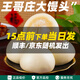 李記鴻福山東特產(chǎn)青島嶗山正宗王哥莊大饅頭純手工全麥特產(chǎn)鐵鍋膠東大餑餑 【家庭裝】3兩原味饅頭*8個