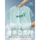 德景天冰絲速干t恤定制印字logo工作服透氣圓領(lǐng)戶外運動企業(yè)團(tuán)體文化衫 【冰絲速干】艾草綠CY-2522 L