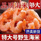 胖東來品質(zhì)海米開洋蝦仁特大號野生海米蝦米蝦皮海鮮干貨蝦仁干 大號金鉤海米[250g]1-1.5厘米