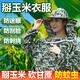 盾潔護玉米地防護服掰玉米防刮臉衣服帽子專(zhuān)用掰玉米丫神器農村下地干活帽透氣防曬護臉?lè )牢孟x(chóng)蜜蜂衣服防蚊服 【小花色】加厚防護服+網(wǎng)紗帽
