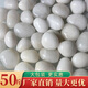裕漫天50斤白色拋光鵝卵石大小鵝軟石雨花石原石庭院陽(yáng)臺鋪路鋪地白石頭 50斤 普通白石4-6cm