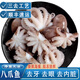 歡之婧 三去八爪魚新鮮迷你小章魚鮮活熟凍短腿八抓魚章魚足撈汁小海鮮 2斤(凈重)  【13-18只/斤】