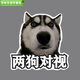哈士奇表情兩狗對視車(chē)貼搞笑表情包機車(chē)后尾裝飾劃痕貼反光防水貼 哈士奇 兩狗對視 小號12*12cm