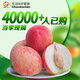 生活＆好管家山西水蜜桃毛桃子新鮮水果超甜多汁現(xiàn)摘 桃子凈重4.5斤(單果100g+)