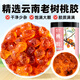 聚和泰【新貨上市】精選云南老樹(shù)桃膠250g雪燕皂角米甜品滋補銀耳羹原料
