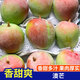 琪江果云南新鮮澳芒 應(yīng)季蘋果芒熱帶甜心芒果水果整箱 澳芒4.5-5斤單果150g+