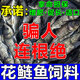 花鰱魚飼料池塘養(yǎng)殖花白鰱胖頭鯉鯽淡水魚通用肥水開口高蛋白粉料 10斤【不污水質(zhì)】增肥促長