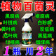 花葉病康多菌靈殺菌劑花卉病蟲(chóng)害專(zhuān)用免稀釋噴霧劑正品官方旗艦店 買(mǎi)2 送1【發(fā)3瓶】