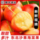 果益壽【順豐到家】東北海棠果k9沙果現(xiàn)摘鮮果黃太平123小蘋果雞心果 優(yōu)選1斤【酸甜爽口】 普通快遞