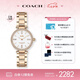 COACH PARK系列鑲鉆表盤(pán)26mm 鋼帶石英女表 14503099 七夕禮物/送禮